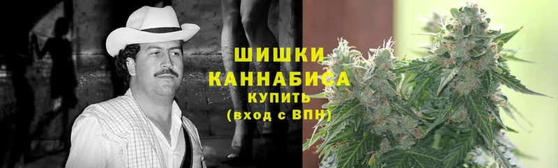 Конопля OG Kush  Тавда 